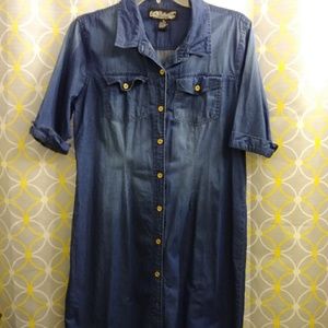 Blue Jean Distressed Dress